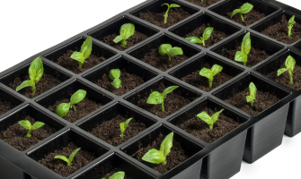 2025 Baharlık Fide Kampanyamız Başladı