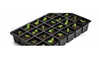 2025 Baharlık Fide Kampanyamız Başladı