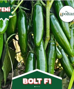  Biber Fidesi  Jalapeno ( Serrano tipi ) POLTAR - BOLDF1