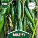 Biber Fidesi Jalapeno ( Serrano tipi ) POLTAR - BOLDF1 Biber Fidesi Jalapeno ( Serrano tipi ) POLTAR - BOLDF1